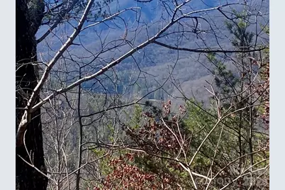 000 Blue Vista Road, Canton, NC 28716 - Photo 24