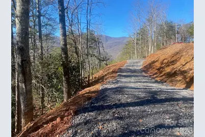 000 Blue Vista Road, Canton, NC 28716 - Photo 6