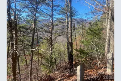 000 Blue Vista Road, Canton, NC 28716 - Photo 2