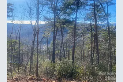 000 Blue Vista Road, Canton, NC 28716 - Photo 14