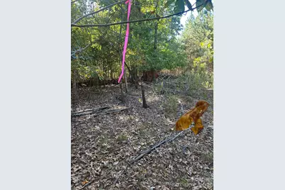 5 Ac Lot 4 Ernandez Road, Richburg, SC 29729 - Photo 38