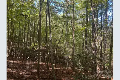 5 Ac Lot 4 Ernandez Road, Richburg, SC 29729 - Photo 28