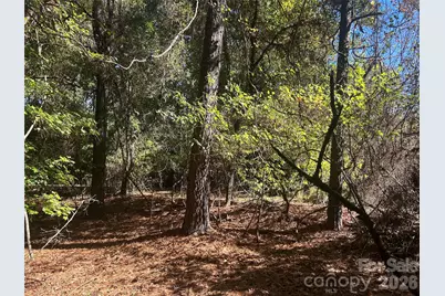 5 Ac Lot 5 Ernandez Road, Richburg, SC 29729 - Photo 2