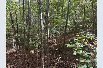 5 Ac Lot 5 Ernandez Road, Richburg, SC 29729 - Photo 30