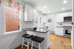 1207 Buchanan St, Charlotte, NC 28203 - Photo 12