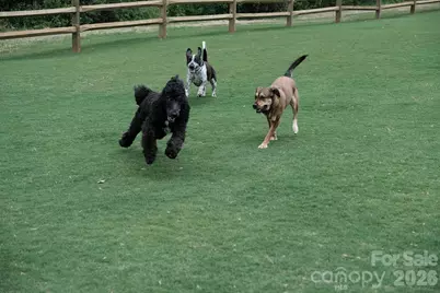 47 Heritage Drive, Clover, SC 29710 - Photo 32