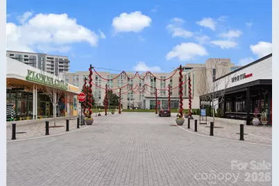 10012 Paradise Ridge Road, Charlotte, NC 28277 - Photo 48