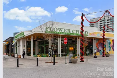 10012 Paradise Ridge Road, Charlotte, NC 28277 - Photo 46