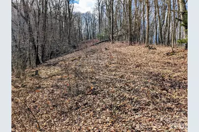 #49 Hazel Top Section, Teaberry Ridge Road, Waynesville, NC 28786 - Photo 12
