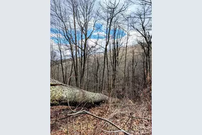 #49 Hazel Top Section, Teaberry Ridge Road, Waynesville, NC 28786 - Photo 6