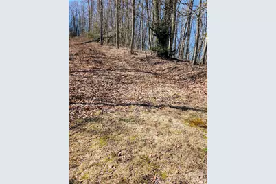 #49 Hazel Top Section, Teaberry Ridge Road, Waynesville, NC 28786 - Photo 8