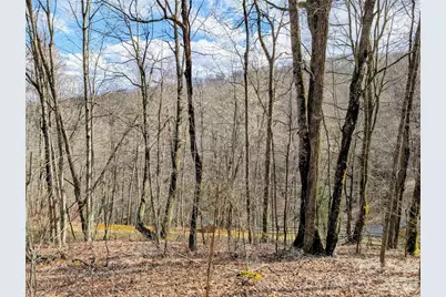 #49 Hazel Top Section, Teaberry Ridge Road, Waynesville, NC 28786 - Photo 2