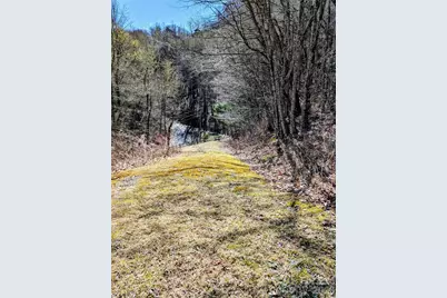#49 Hazel Top Section, Teaberry Ridge Road, Waynesville, NC 28786 - Photo 10