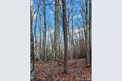 #49 Hazel Top Section, Teaberry Ridge Road, Waynesville, NC 28786 - Photo 4