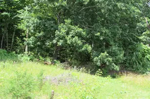#6 Mystic View Ln, Black Mountain, NC 28711 - Photo 1