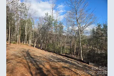 Lot 44 Dalton Court, Lake Lure, NC 28746 - Photo 10