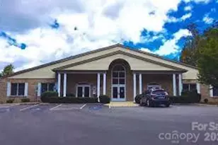 242 Carriage Summitt Way, Hendersonville, NC 28791 - Photo 32