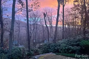 387 Goodview Dr, Hendersonville, NC 28792 - Photo 40