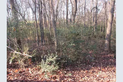 6825 Nance Tarlton Road, Marshville, NC 28103 - Photo 12