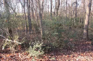 6825 Nance Tarlton Rd, Marshville, NC 28103 - Photo 12