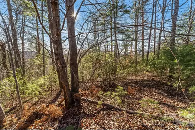 961 High Trail Drive #35-11, Nebo, NC 28761 - Photo 8