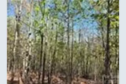 Lot 4 Hibiscus Court, Lake Lure, NC 28746 - Photo 8