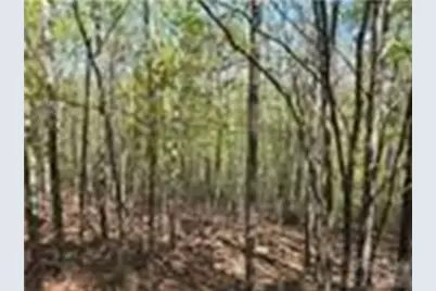 Lot 4 Hibiscus Court, Lake Lure, NC 28746 - Photo 6