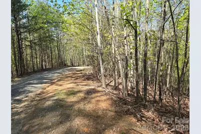 Lot 4 Hibiscus Court, Lake Lure, NC 28746 - Photo 2