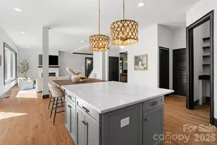 144 Walking Horse Trail, Davidson, NC 28036 - Photo 20