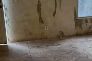 190 Pinewood Knoll Dr, Hendersonville, NC 28739 - Photo 4