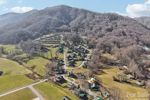 54 Meandering Way, Maggie Valley, NC 28751 - Photo 46