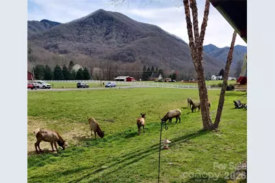 54 Meandering Way #31, Maggie Valley, NC 28751 - Photo 30