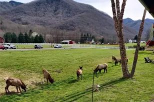 54 Meandering Way, Maggie Valley, NC 28751 - Photo 30