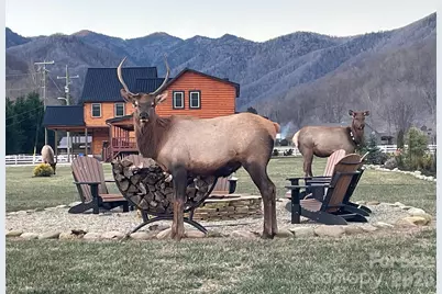 54 Meandering Way #31, Maggie Valley, NC 28751 - Photo 2