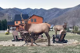 54 Meandering Way, Maggie Valley, NC 28751 - Photo 2