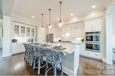 149 Little Indian Loop, Mooresville, NC 28117 - Photo 8