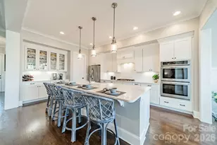 149 Little Indian Loop, Mooresville, NC 28117 - Photo 8