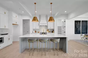 1810 Ferguson Ct, Charlotte, NC 28205 - Photo 10