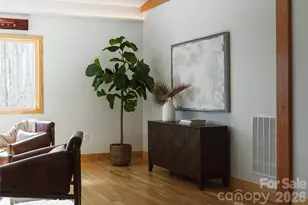 584 Spring Brook Ln, Brevard, NC 28712 - Photo 8