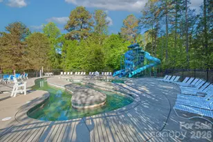 18530 Carnegie Overlook Blvd, Davidson, NC 28036 - Photo 44