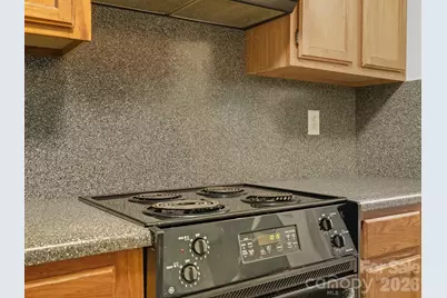 498 Sweetgum Drive, Fort Mill, SC 29715 - Photo 14