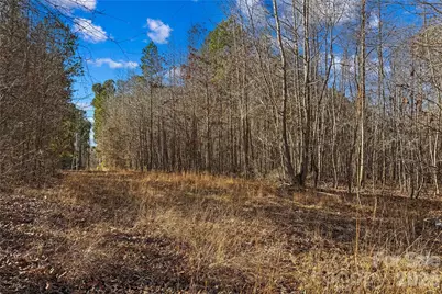 0 Morgan Road, Gold Hill, NC 28071 - Photo 20