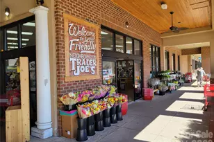 4603 Cotton Creek Dr, Charlotte, NC 28226 - Photo 48