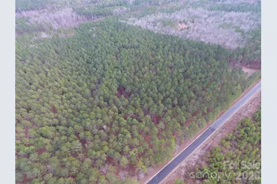 734 Great North Road, Winnsboro, SC 29180 - Photo 10