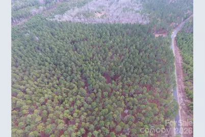 734 Great North Road, Winnsboro, SC 29180 - Photo 12