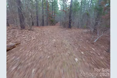 734 Great North Road, Winnsboro, SC 29180 - Photo 24