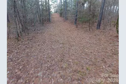 734 Great North Road, Winnsboro, SC 29180 - Photo 28