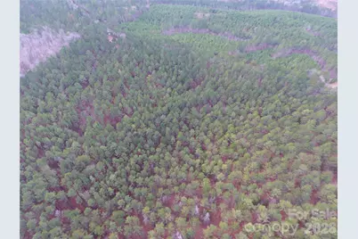 734 Great North Road, Winnsboro, SC 29180 - Photo 14