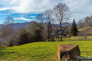 161 Rock Field Way, Sylva, NC 28779 - Photo 38