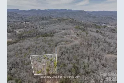 Tract 3 Turtle Ridge Trail, Mills River, NC 28759 - Photo 10